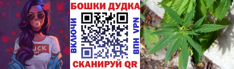 Канабис SATIVA & INDICA Хвалынск